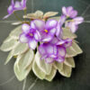 rob's lucky penny листова химера, мініатюра